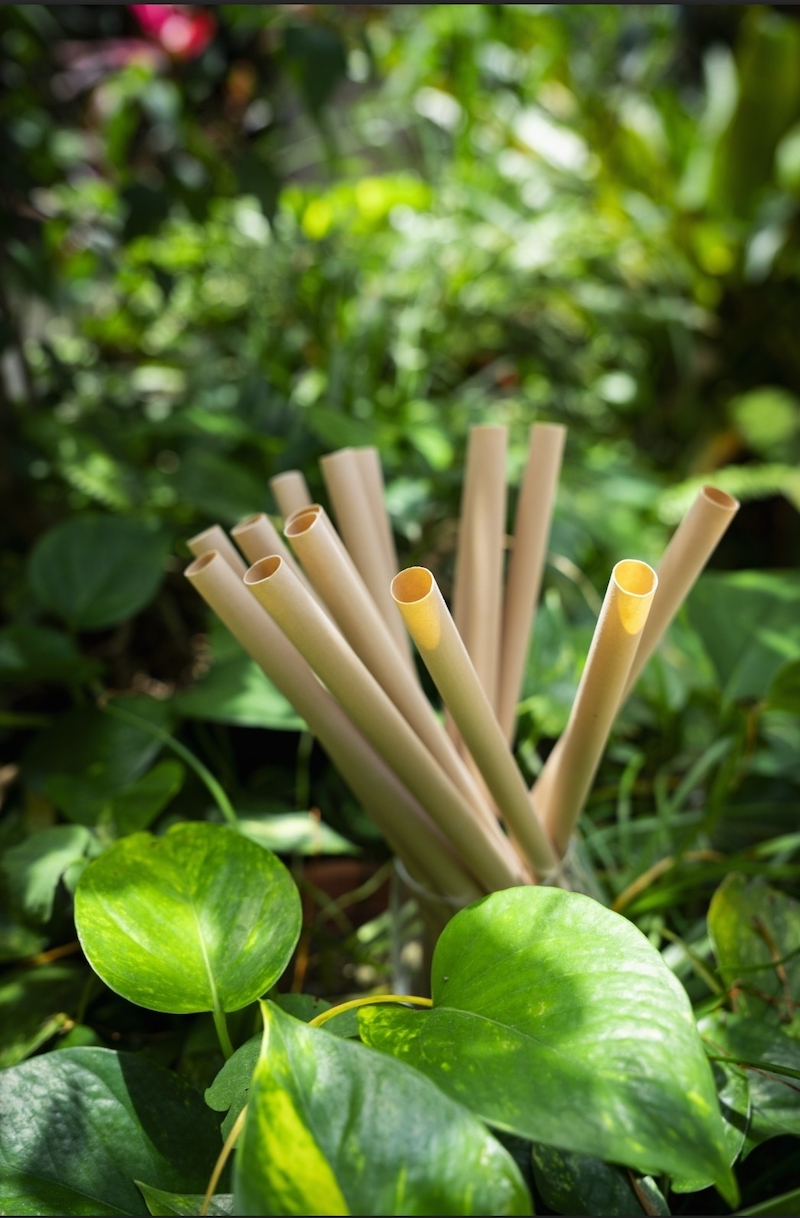Eco Straws Series